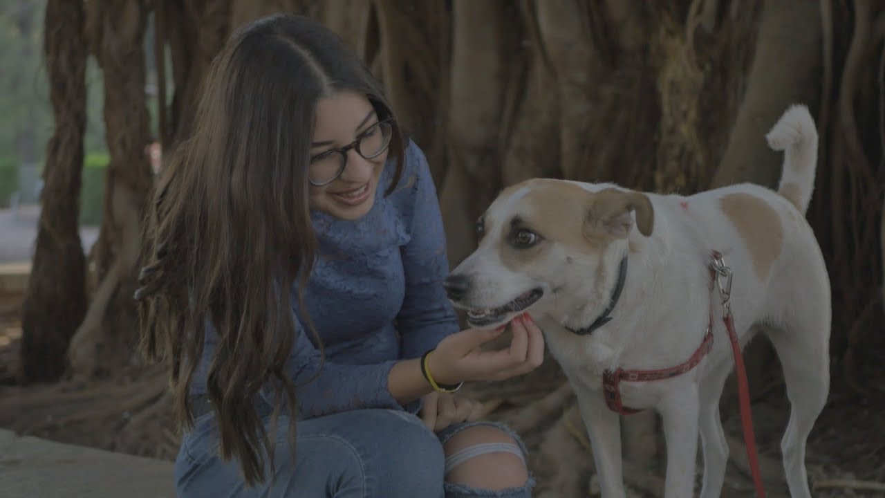 Vlog personale//Pre-18esimo