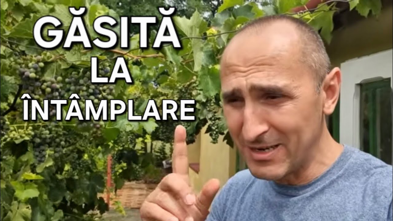 La pas printr-o CASĂ IEFTINĂ din Bătania! CE VALOARE POATE AVEA CASA ÎN SCURT TIMP