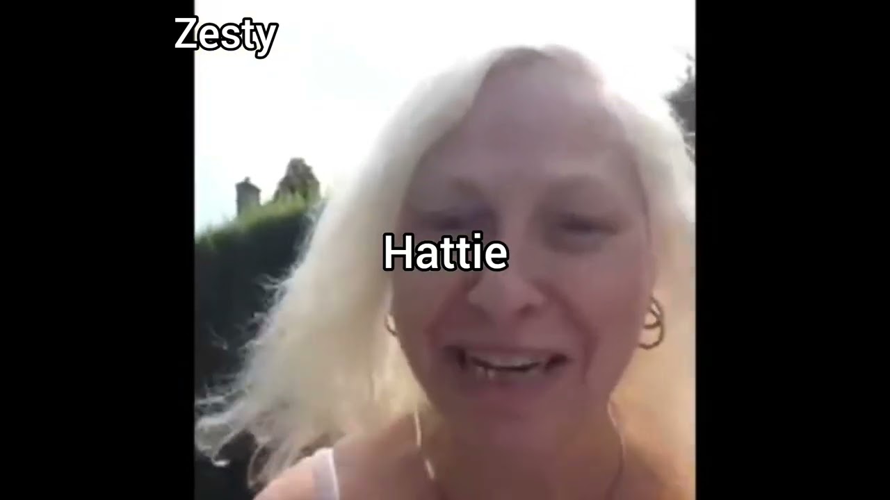 Hunger Games Vines: Sunrise on the Reaping edition