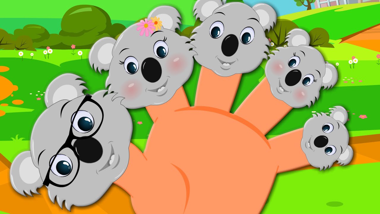 Finger Family Koala Bears | Baby Songs For Childrens And Kids