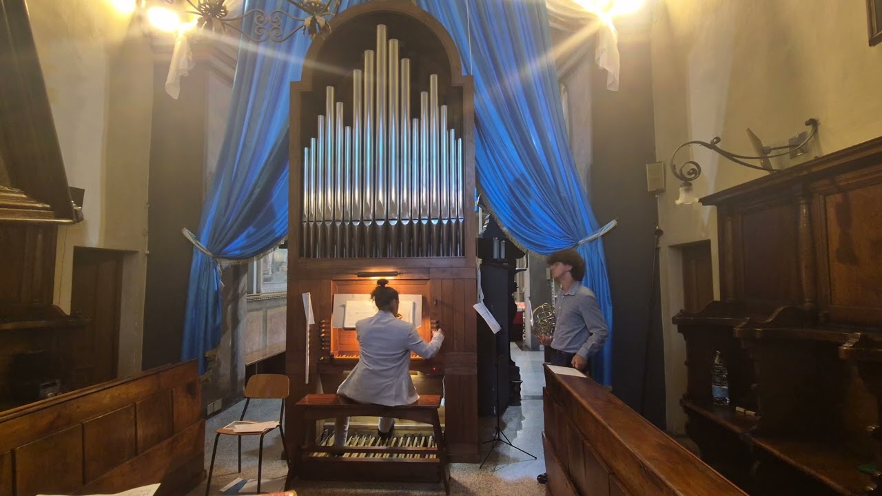 Bach, Praeludium et fuga in e BWV 533 #classic #baroque #organ #music 