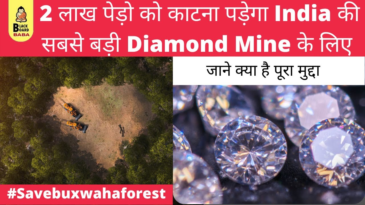 2 lakh trees to be cut down for India's largest Diamond Mine | Buxwaha Forest of Madhya Pradesh