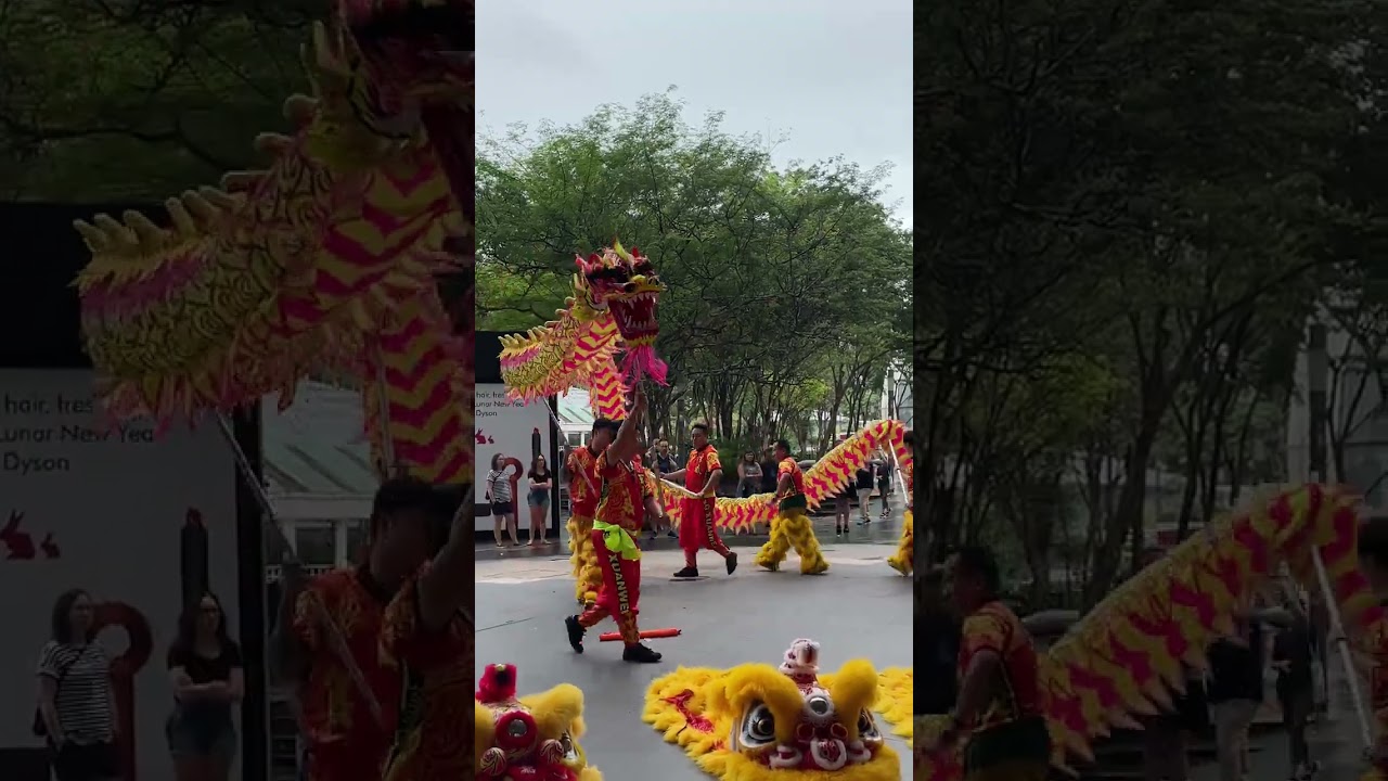 Auspicious Dragon Dance Performance, Chinese New Year Singapore, Plaza Singapura