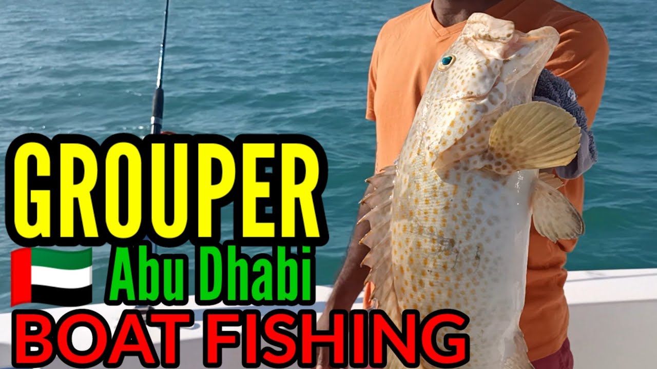 GROUPER 🇦🇪 ABU DHABI BOAT FISHING 