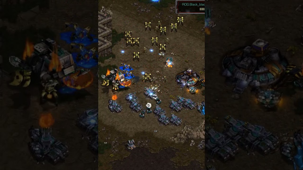 ⛄Sn0w charging into firebathero!!! | #falconpaladin #gaming #broodwar #starcraft