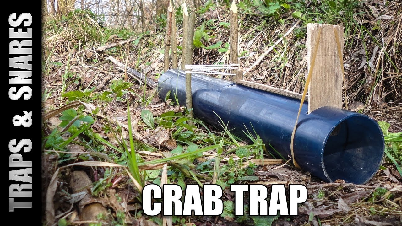 EASY DIY PVC Land Crab Trap! Build a Live Catcher From Pipe (No Harm!)