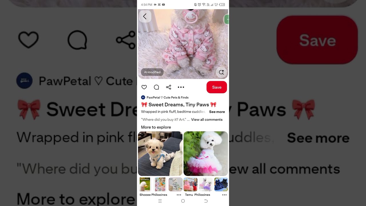 Whole katseye and others vid