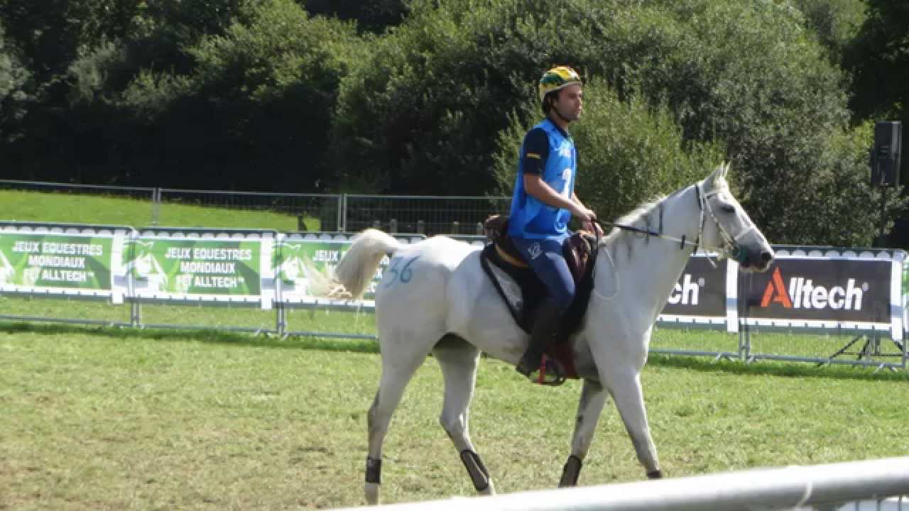 JEM 2014, Normandie, endurance vu par un spectateur. France Medaille d'Argent.