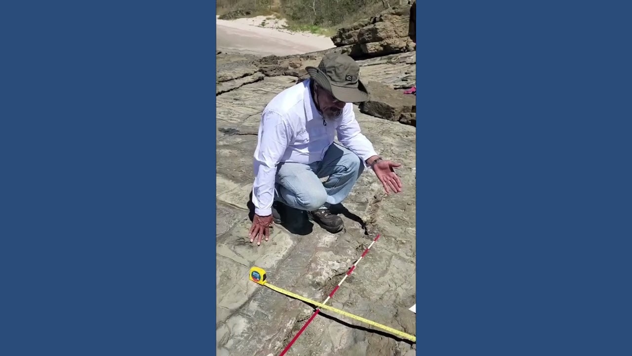 ¡Sensacional! Encuentran en Rivas el fósil de cetáceo más antiguo de Nicaragua