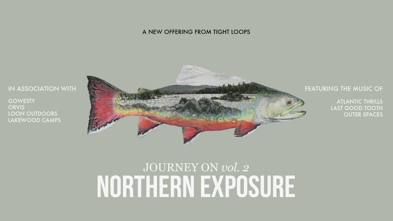 VAN LIFE: EPIC MAINE BROOK TROUT ADVENTURE 
