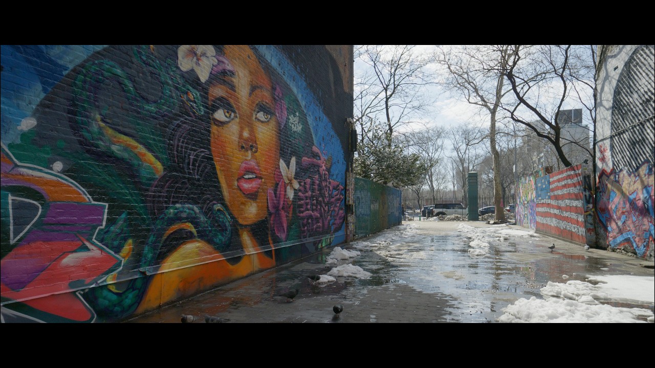 Nikon ZR 6K RED RAW Video: Going Wide with the Nikon 17-28 f2.8 Zoom Lens to Shoot NYC Street Art