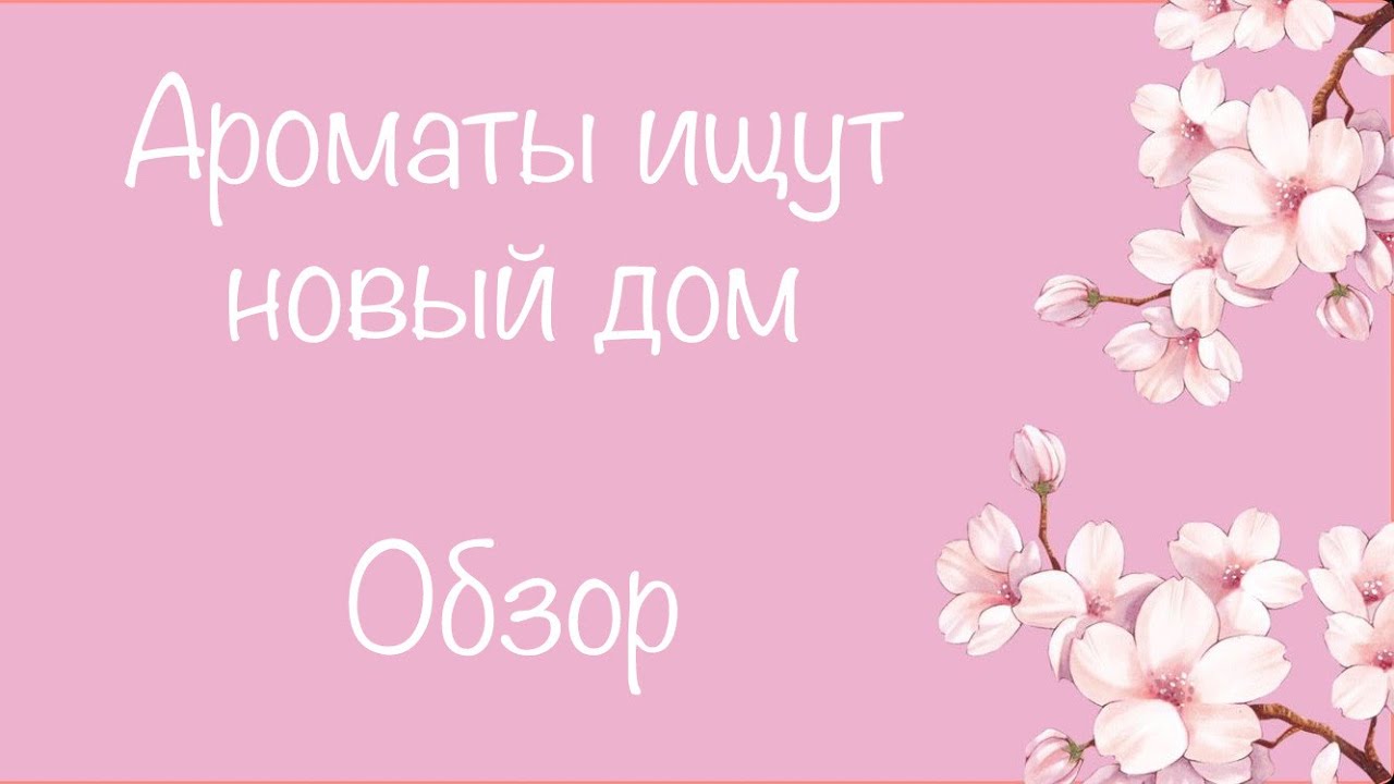 Обзор 34 ароматов из коллекции