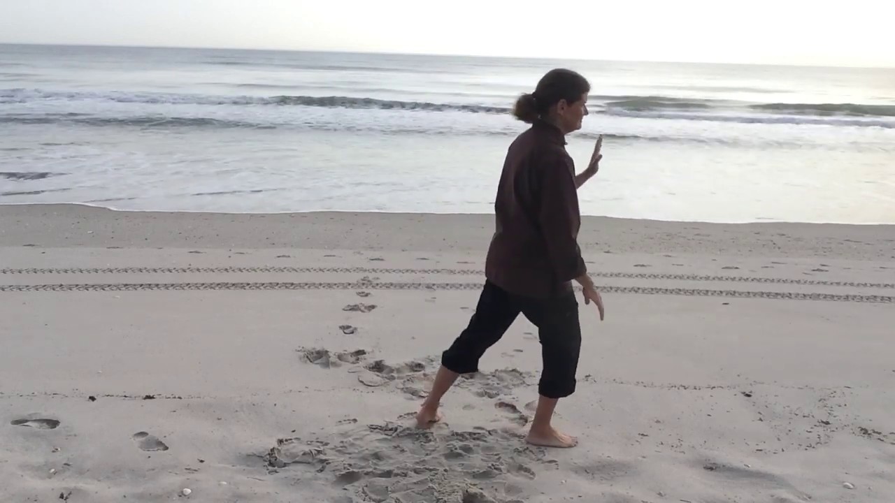Tai Chi for Arthritis part 2  Back View, TCA2