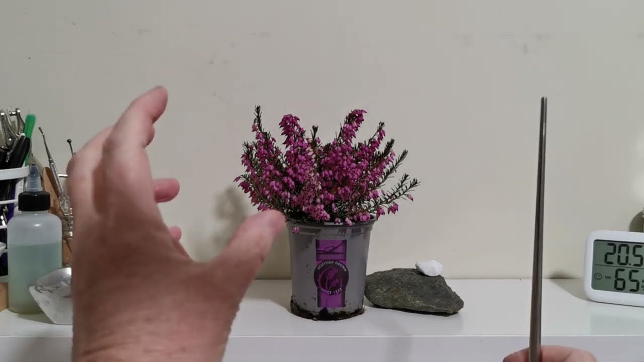 Mame Heathers Bonsai Challenge - Bee Kind Bee Friendly (Pt. 1 and Pt. 2)