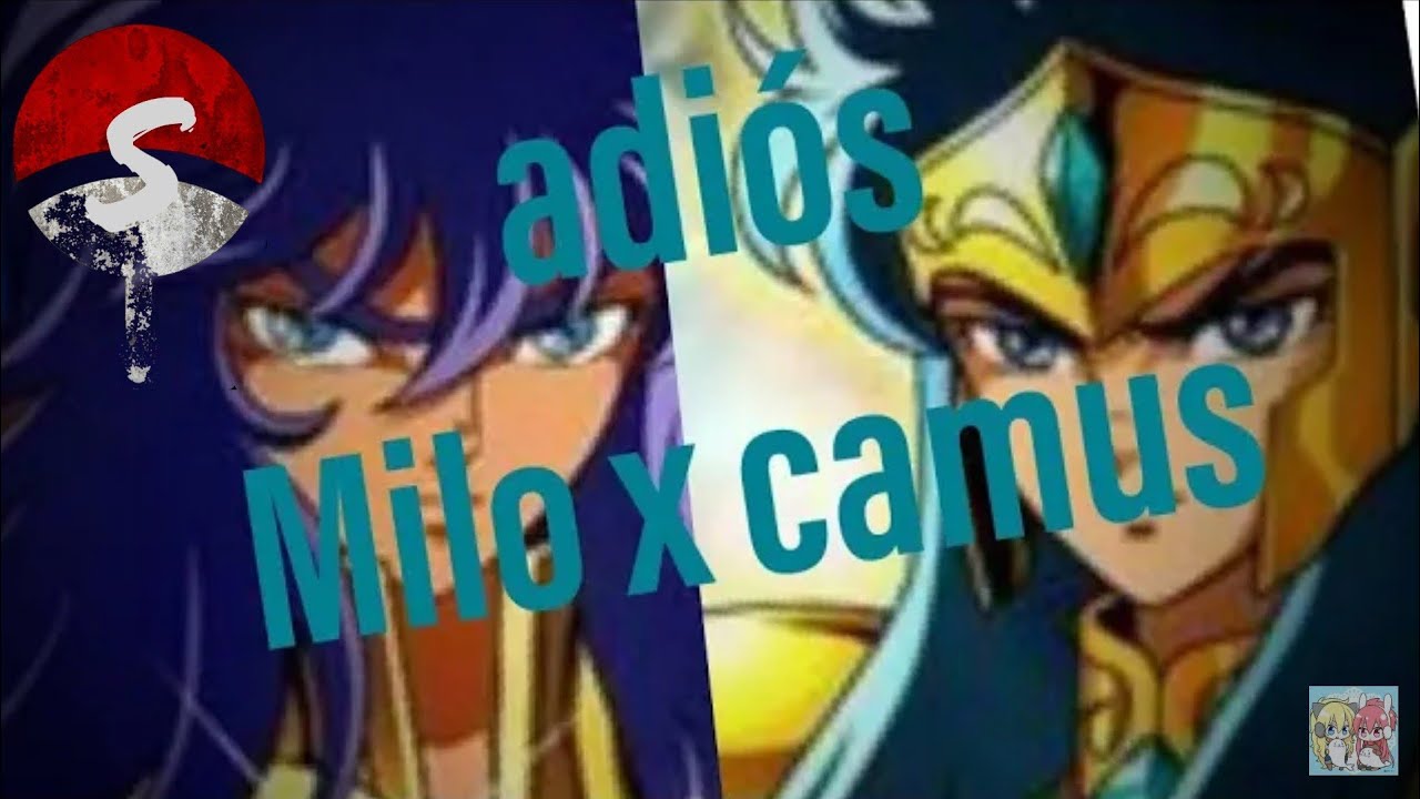 milo x camus adios saint seiya