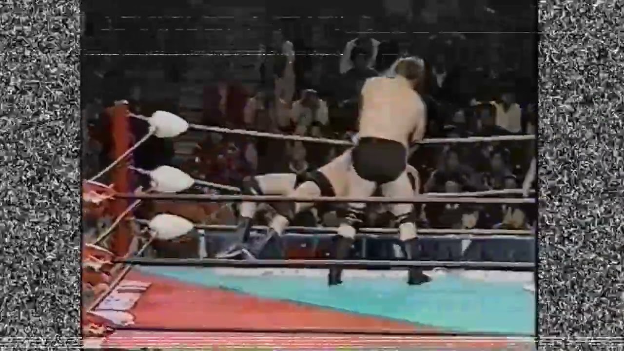 Stan Hansen vs Terry Funk Highlight MV