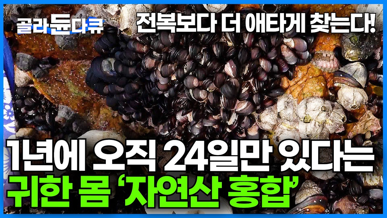 짬뽕 속 홍합은 '진짜'가 아니다! 1년에 단 24일만 캘 수 있는 '자연산 홍합'｜갓 잡은 자연산 홍합으로 끓여먹는 칼국수 먹방｜극한직업｜#골라듄다큐