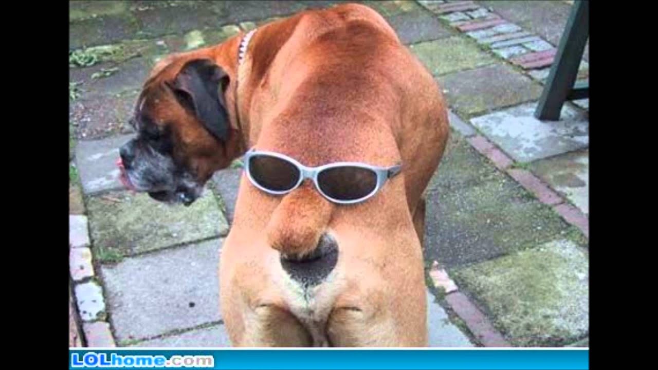 101283:TOP 10 FUNNY PIC'S