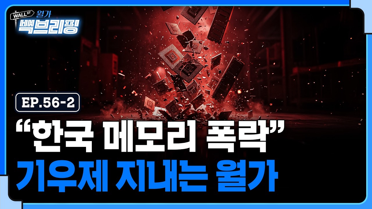 월가, 한국 메모리 주식 폭락하기만을 기다린다? | 월가백브리핑