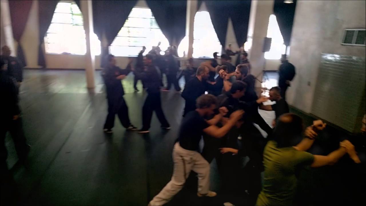 Tongbei Quan - Fight Techniques & Applications - GM Guan Tieyun - M Falanga - Milano 2016