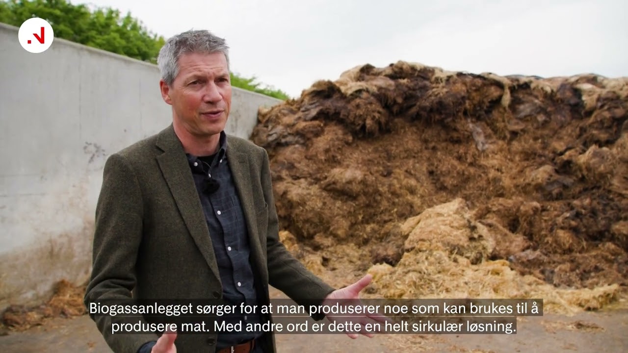 N2 Applied gj&oslash;r husdyrm&oslash;kk til gull