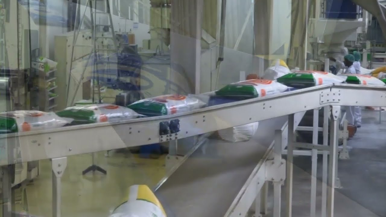 BAG HANDLING CONVEYOR SYSTEMS