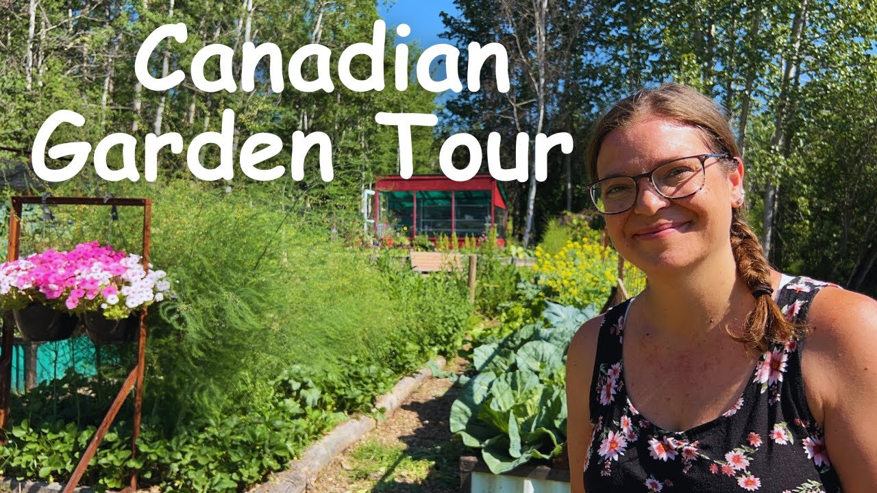 July 2024 Garden Tour ( Zone 3 Gardening)