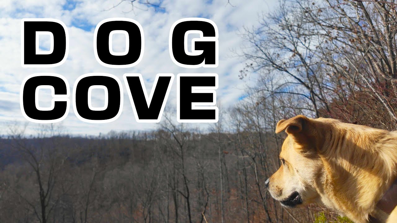 Пешеходный маршрут Dog Cove - Lost Creek / Virgin Falls / Scotts Gulf State Wilderness Area, Тенн...
