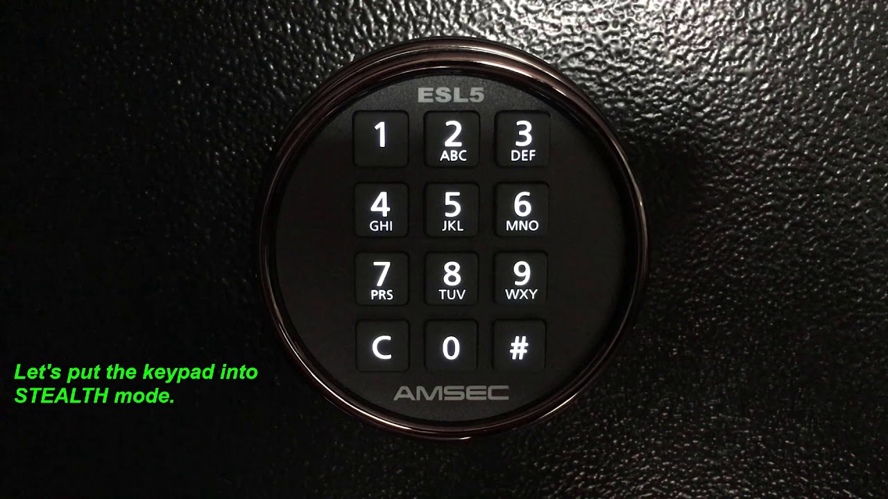 Инструкция по эксплуатации AMSEC ESL5
