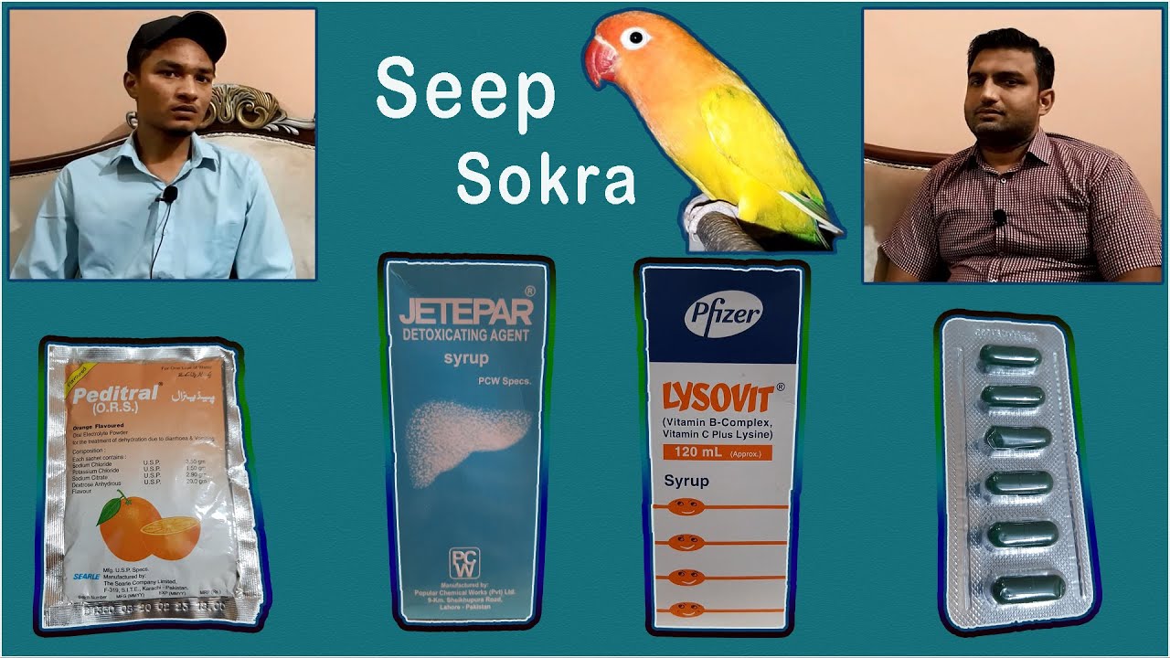 Birds main Seep or Sokra ka ilaj