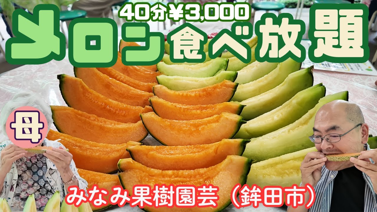 【メロン食べ放題】みなみ果樹園芸でタカミメロンを思いっきり食べてきた