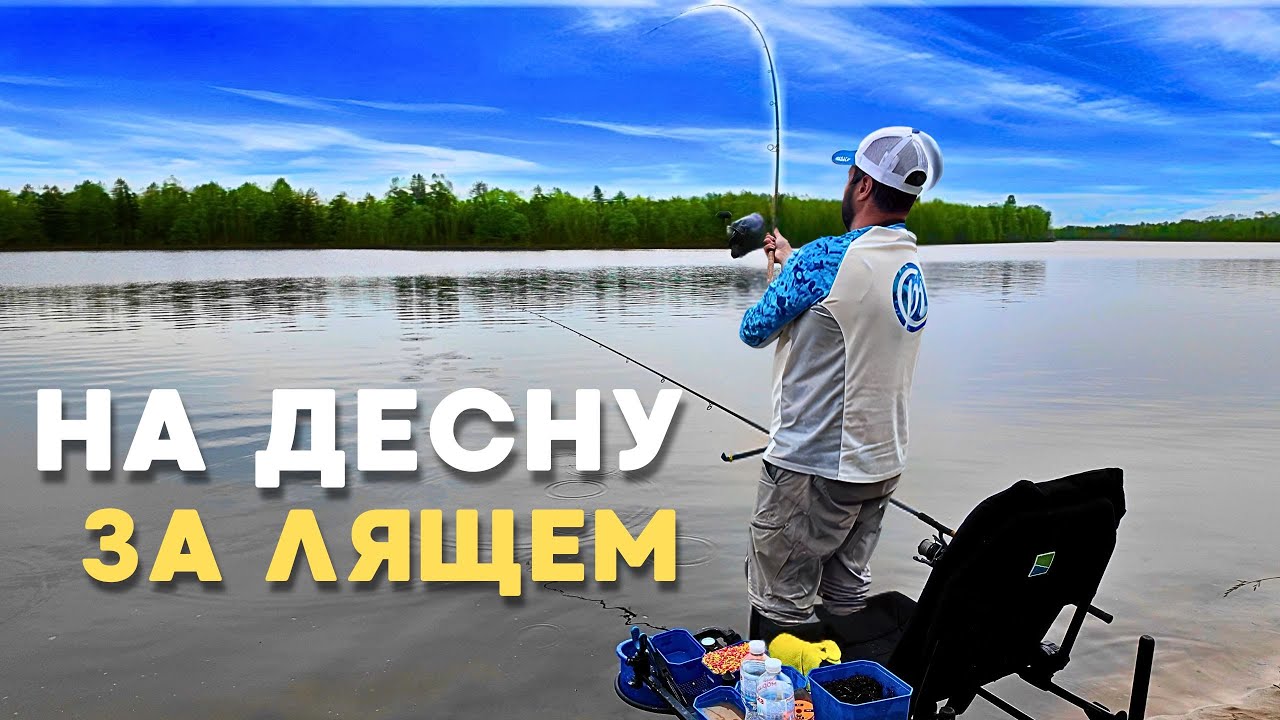 Фідер на ДЕСНІ! Полювання на трофейного ЛЯЩа під Києвом