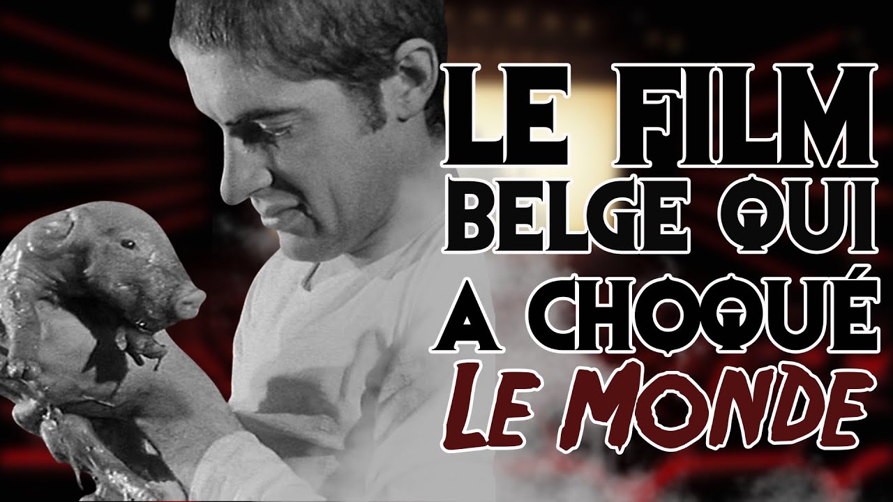 Cinéma Interdit #17 : Vase de Noces (1974) - Tout est bon dans le cochon