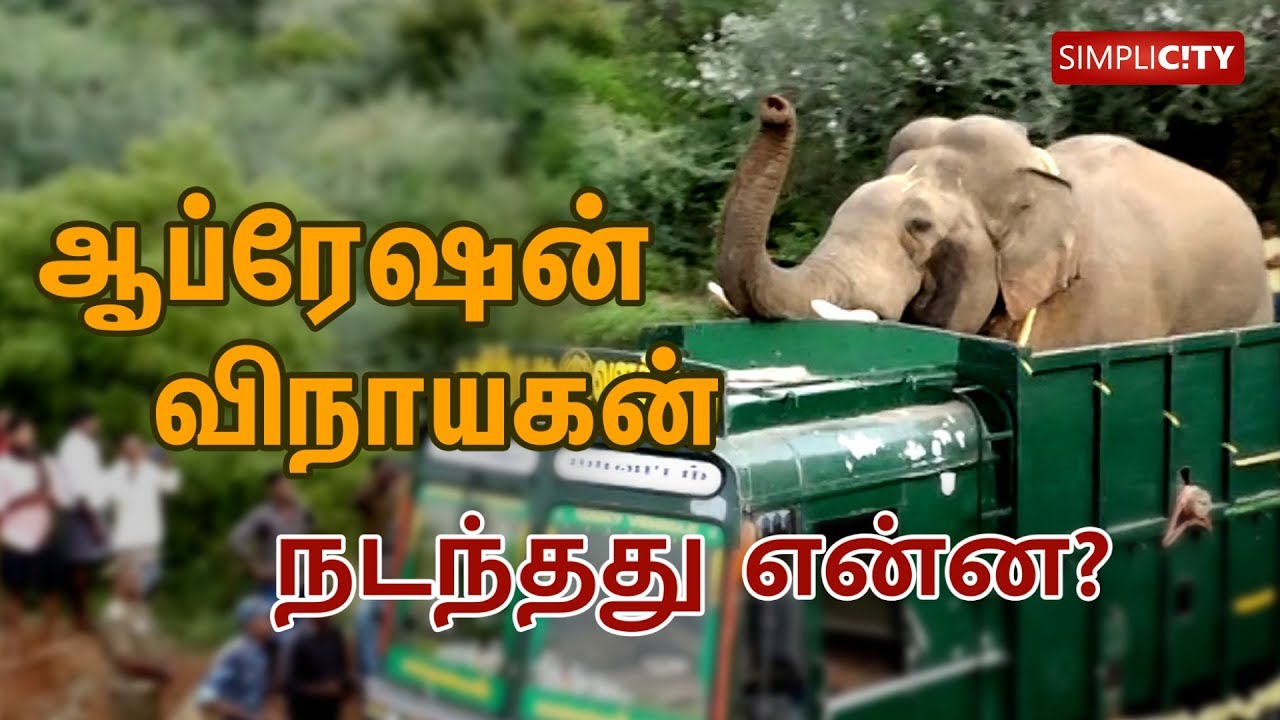 Thrilling and heart-touching story of how elephant Vinayakan was translocated from Thadagam