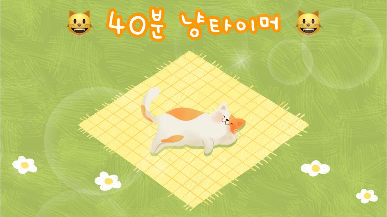 😻 고양이타이머ㅣ40분타이머ㅣ귀여운타이머ㅣ정리타이머ㅣ잔잔한 타이머