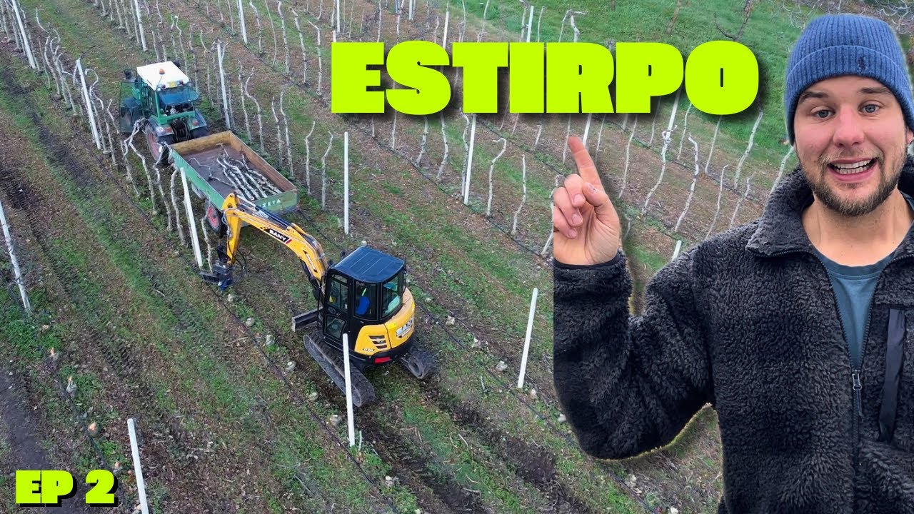 Come ESTIRPARE un FRUTTETO con un ESCAVATORE