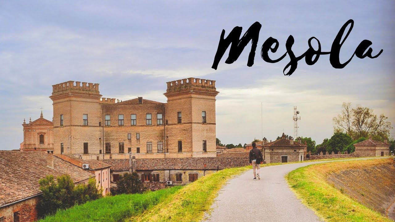 Vlog: Mesola e il Gran Bosco della Mesola | Viaggiare, uno stile di vita