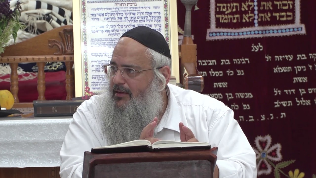 פנינים מפרשת כי תצא - הרב שלמה לוינשטיין HD