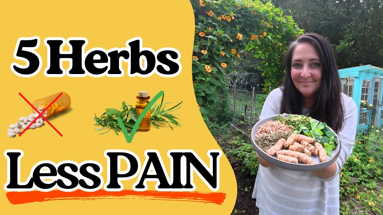 Natural Pain Relief: 5 Herbs I Use For Pain