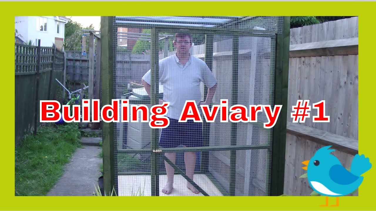 LovebirdsAviary #1