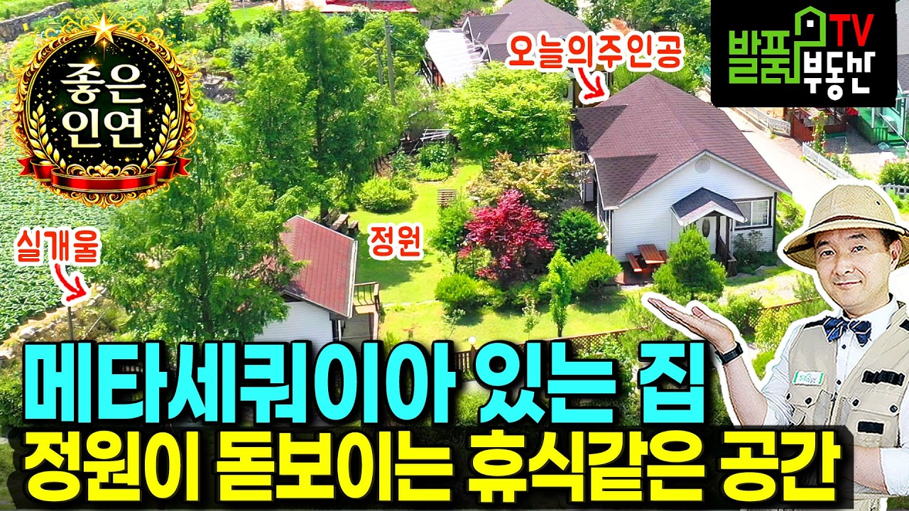 (급매) 메타세콰이어 있는 집!! 해발 6백미터 청정 숲속 전원주택 매매 한땀 한땀 가꾼 정원 실개울 태양광 광역상수도 넓은 주차공간 힐링 휴양 요양  평창부동산 - 발품부동산TV