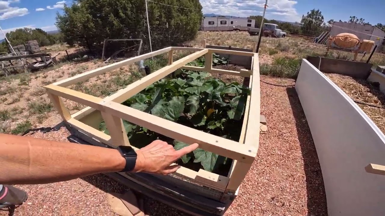 Watch This Garden Project Come to Life!