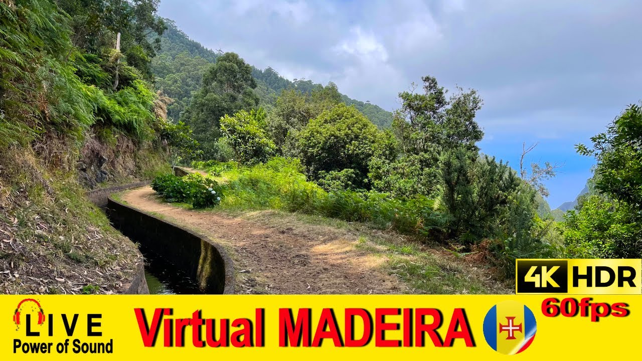MADEIRA - Levada da Ribeira da Janela 💢4K 60fps 🌈HDR 🎧Live Sounds #virtualmadeira