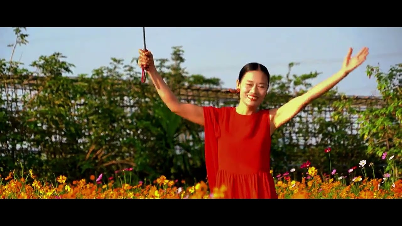 BÌNH YÊN GIỮA CÁNH ĐỒNG HƯƠNG AN