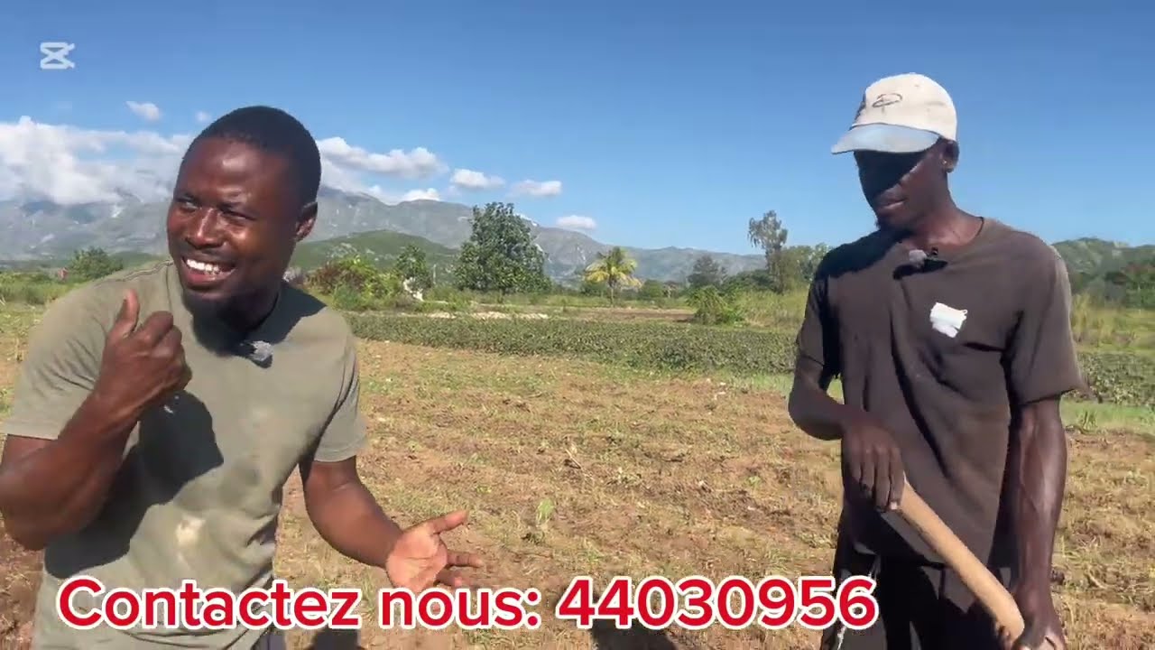 Vin wè teknik li itilize poul kapab fè jaden #haitianculture agriculture #haitianculture #agro 