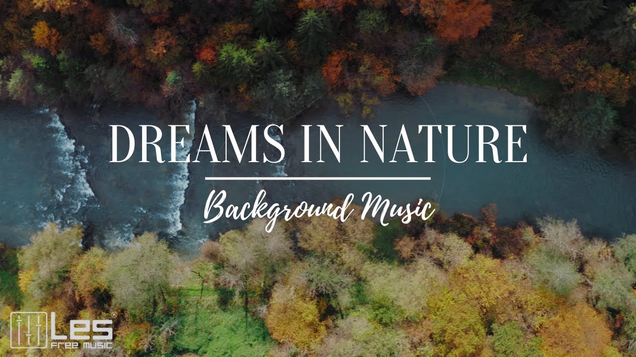 Dreams in nature :  Acoustic Solo Guitar Dreamy Peaceful Background Music
