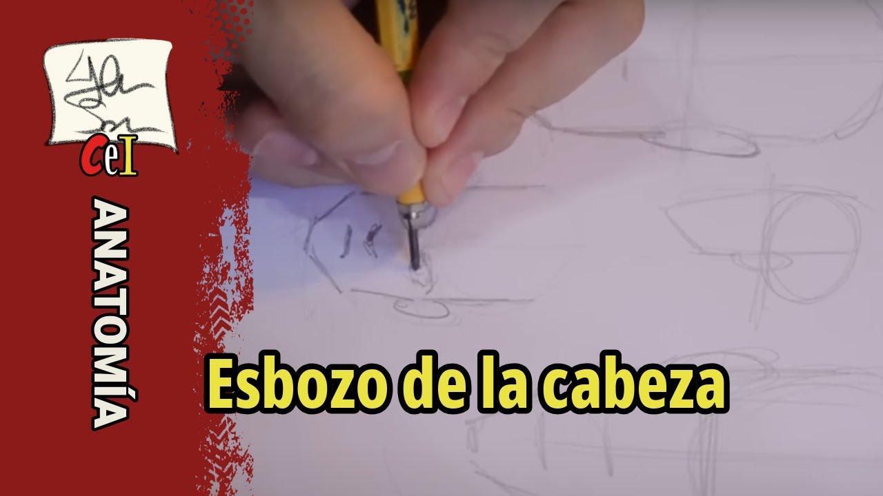 ✅ Cómo Dibujar la Cabeza de Perfil y de Frente – Boceto Paso a Paso para Principiantes