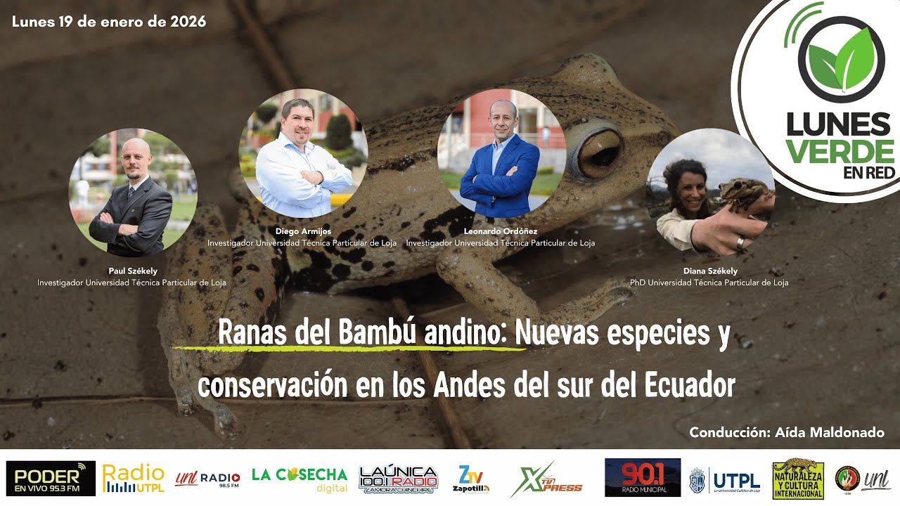 Ranas del bambú andino: Nuevas especies y conservación en los Andes del sur de Ecuador