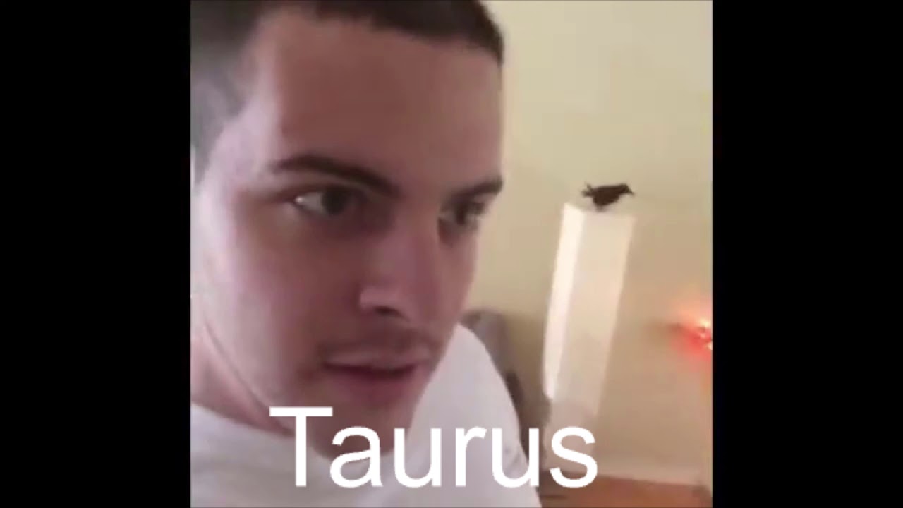 its taurus season you know what that means... (taurus vines)