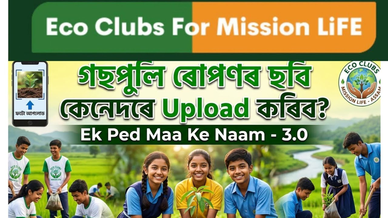 Как загрузить фотографии деревьев в рамках программы Eco Club Mission LiFE